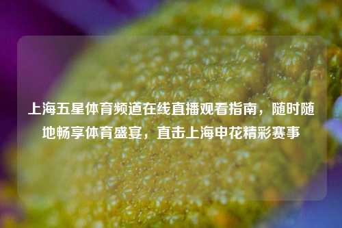 上海五星体育频道在线直播观看指南，随时随地畅享体育盛宴，直击上海申花精彩赛事