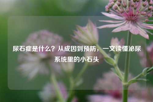 尿石症是什么？从成因到预防，一文读懂泌尿系统里的小石头