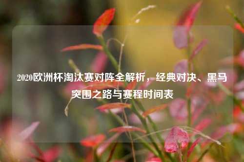 2020欧洲杯淘汰赛对阵全解析，经典对决、黑马突围之路与赛程时间表