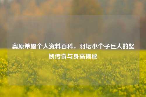 奥原希望个人资料百科，羽坛小个子巨人的坚韧传奇与身高揭秘