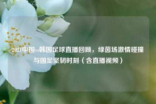 2021中国vs韩国足球直播回顾，绿茵场     碰撞与国足坚韧时刻（含直播视频）