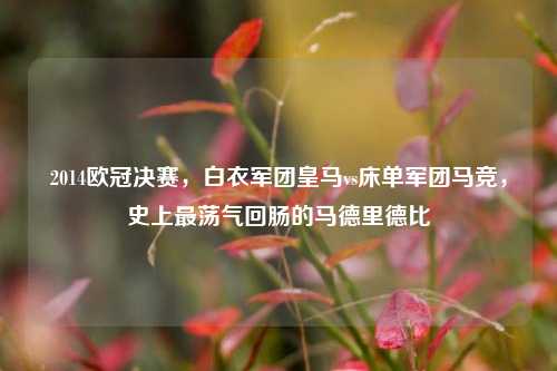 2014欧冠决赛，白衣军团皇马vs床单军团马竞，史上最荡气回肠的马德里德比