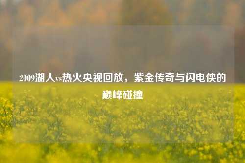 2009湖人vs热火央视回放，紫金传奇与闪电侠的巅峰碰撞
