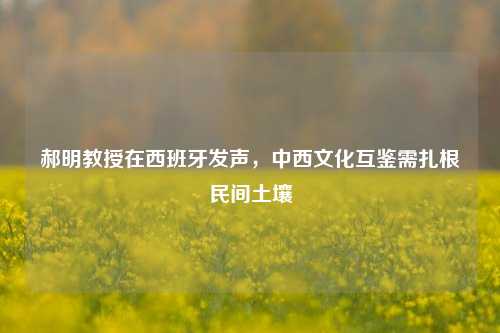 郝明教授在西班牙发声，中西文化互鉴需扎根民间土壤