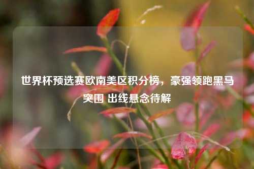 世界杯预选赛欧南美区积分榜，豪强领跑黑马突围 出线悬念待解