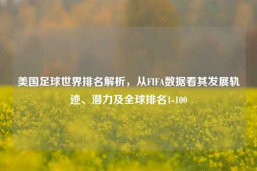 美国足球世界排名解析，从FIFA数据看其发展轨迹、潜力及全球排名1-100