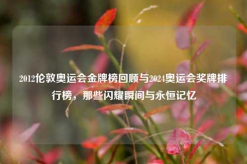 2012伦敦奥运会金牌榜回顾与2024奥运会奖牌排行榜，那些闪耀瞬间与永恒记忆