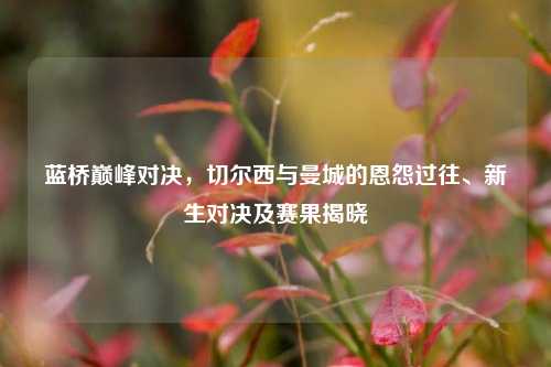 蓝桥巅峰对决，切尔西与曼城的恩怨过往、新生对决及赛果揭晓