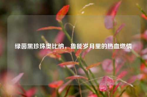 绿茵黑珍珠奥比纳，鲁能岁月里的热血燃情