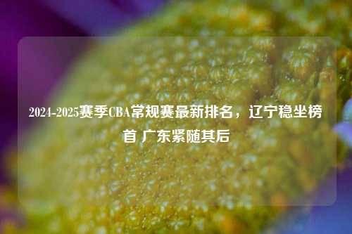 2024-2025赛季CBA常规赛最新排名，辽宁稳坐榜首 广东紧随其后