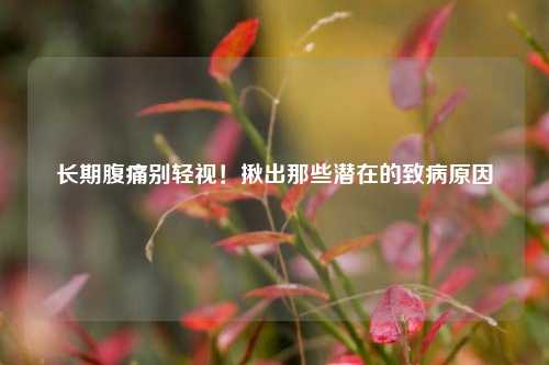 长期腹痛别轻视！揪出那些潜在的致病原因
