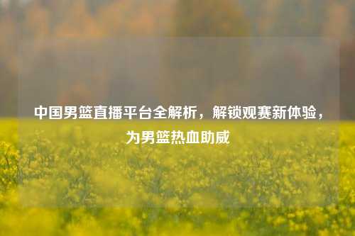 中国男篮直播平台全解析，解锁观赛新体验，为男篮热血助威