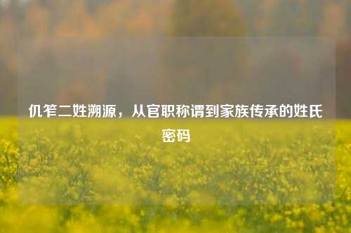 仉笮二姓溯源，从官职称谓到家族传承的姓氏密码