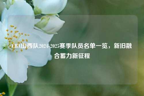 CBA山西队2024-2025赛季队员名单一览，新旧融合蓄力新征程