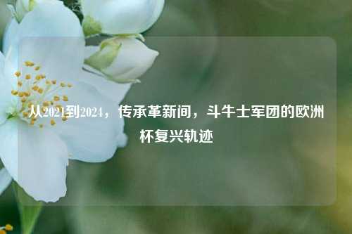 从2021到2024，传承革新间，斗牛士军团的欧洲杯复兴轨迹