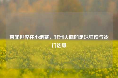 南非世界杯小组赛，非洲大陆的足球狂欢与冷门迭爆