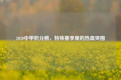 2020中甲积分榜，特殊赛季里的热血突围