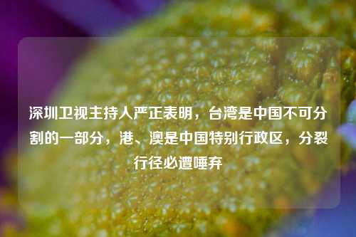 深圳卫视主持人严正表明,台湾是中国不可分割的一部分,港、澳是中国特别行政区,分裂行径必遭唾弃