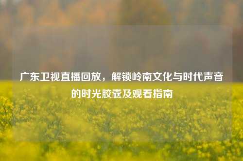 广东卫视直播回放,解锁岭南文化与时代声音的时光胶囊及观看指南