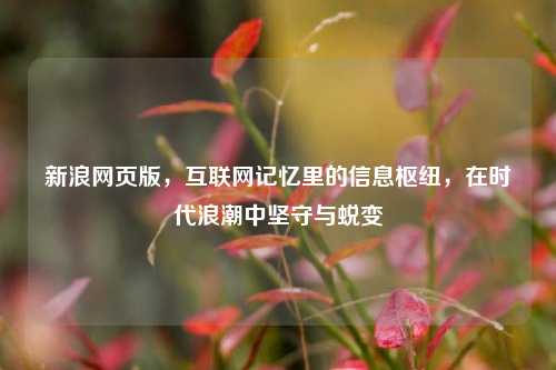 新浪网页版，互联网记忆里的信息枢纽，在时代浪潮中坚守与蜕变