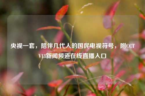 央视一套,陪伴几代人的国民电视符号,附CCTV13新闻频道在线直播入口