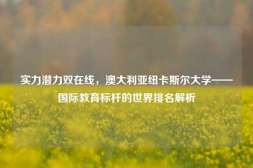 实力潜力双在线，澳大利亚纽卡斯尔大学——国际教育标杆的世界排名解析