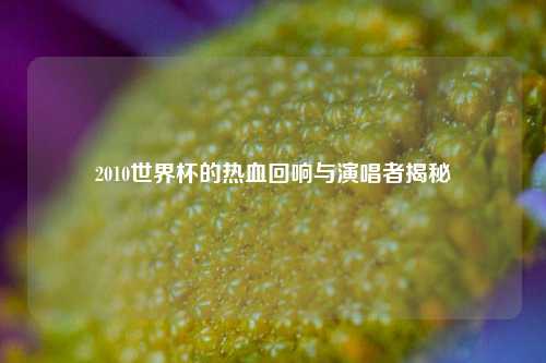 2010世界杯的热血回响与演唱者揭秘