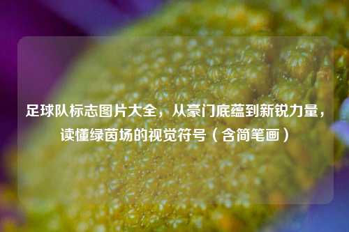 足球队标志图片大全，从豪门底蕴到新锐力量，读懂绿茵场的视觉符号（含简笔画）