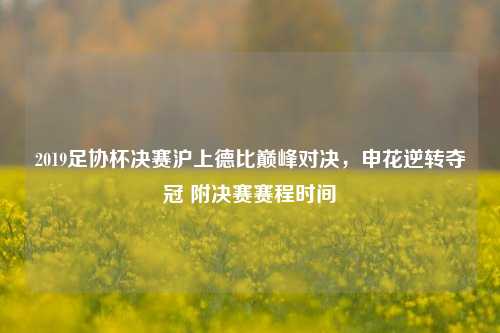 2019足协杯决赛沪上德比巅峰对决,申花逆转夺冠 附决赛赛程时间