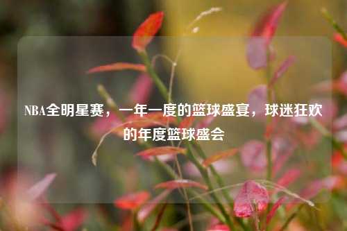 NBA全明星赛，一年一度的篮球盛宴，球迷狂欢的年度篮球盛会