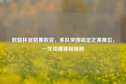 欧联杯资格赛收官，多队突围锁定正赛席位，一文读懂赛程规则