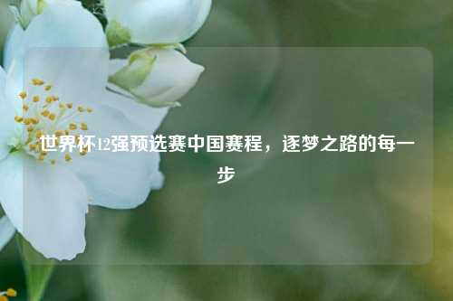 世界杯12强预选赛中国赛程,逐梦之路的每一步