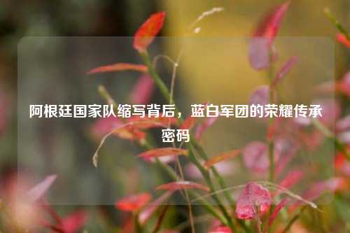 阿根廷国家队缩写背后,蓝白军团的荣耀传承密码
