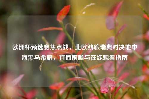 欧洲杯预选赛焦点战,北欧劲旅瑞典对决地中海黑马希腊,直播前瞻与在线观看指南
