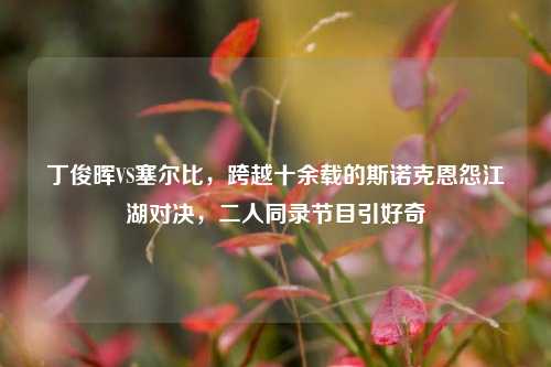 丁俊晖VS塞尔比，跨越十余载的斯诺克恩怨江湖对决，二人同录节目引好奇