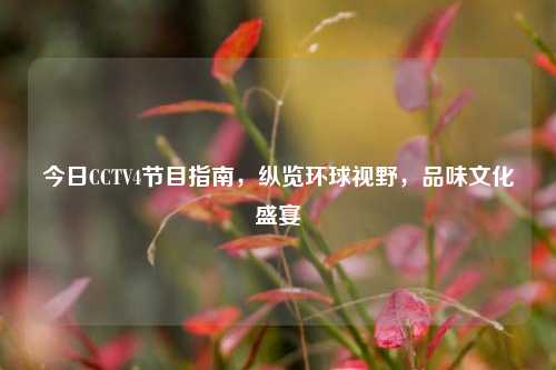 今日CCTV4节目指南,纵览环球视野,品味文化盛宴