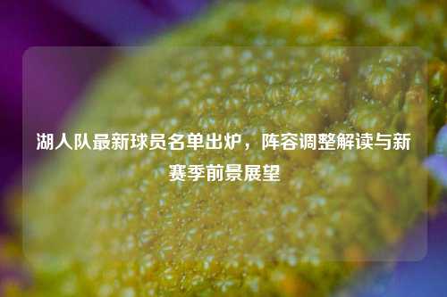 湖人队最新球员名单出炉,阵容调整解读与新赛季前景展望