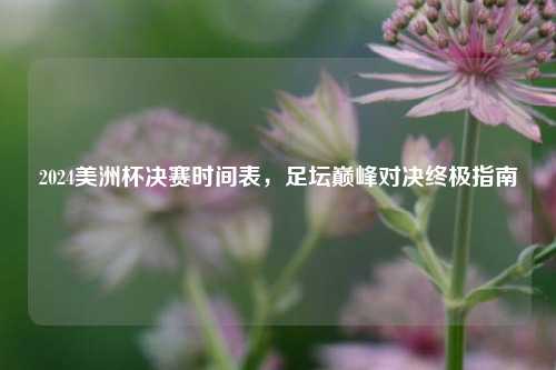 2024美洲杯决赛时间表,足坛巅峰对决终极指南