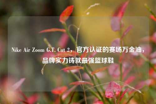 Nike Air Zoom G.T. Cut 2，官方认证的赛场万金油，品牌实力铸就最强篮球鞋