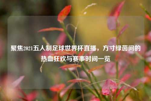 聚焦2021五人制足球世界杯直播，方寸绿茵间的热血狂欢与赛事时间一览