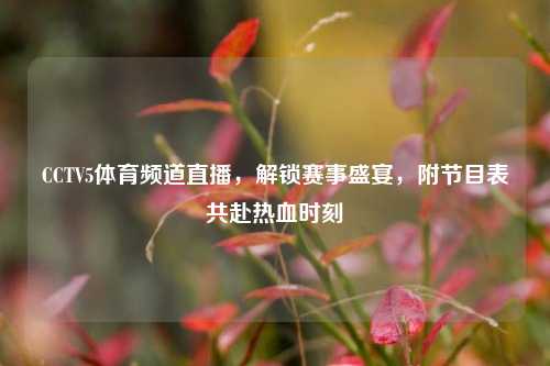 CCTV5体育频道直播，解锁赛事盛宴，附节目表共赴热血时刻