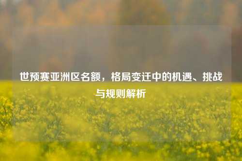 世预赛亚洲区名额,格局变迁中的机遇、挑战与规则解析