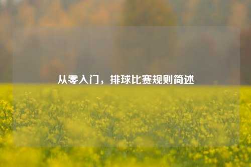 从零入门，排球比赛规则简述