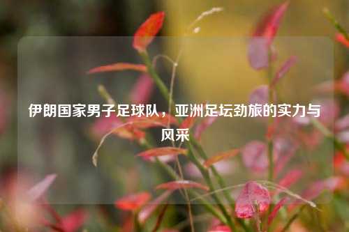 伊朗国家男子足球队,亚洲足坛劲旅的实力与风采