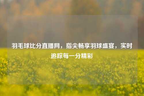 羽毛球比分直播网，指尖畅享羽球盛宴，实时追踪每一分精彩