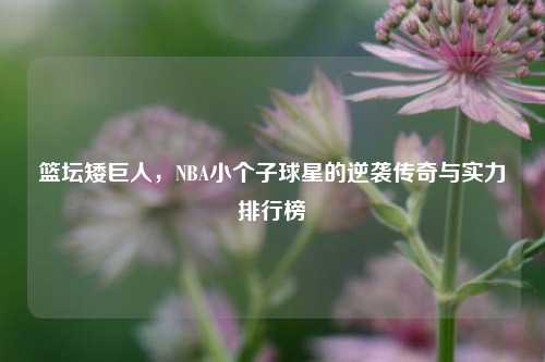 篮坛矮巨人,NBA小个子球星的逆袭传奇与实力排行榜