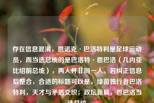 存在信息混淆,恩诺克·巴洛特利是足球运动员,而当选总统的是巴洛特·恩巴洛(几内亚比绍前总统),两人并非同一人。若纠正信息后整合,合适的标题可以是,绿茵独行者巴洛特利,天才与矛盾交织;政坛新局,恩巴洛当选总统