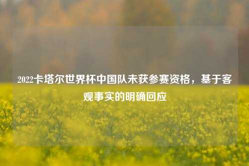 2022卡塔尔世界杯中国队未获参赛资格，基于客观事实的明确回应