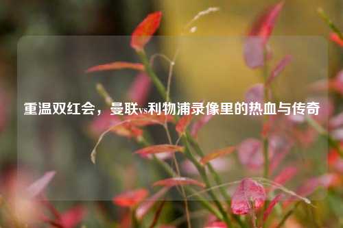 重温双红会,曼联vs利物浦录像里的热血与传奇