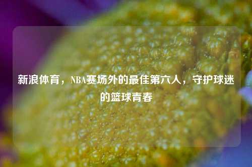 新浪体育，NBA赛场外的更佳第六人，守护球迷的篮球青春
